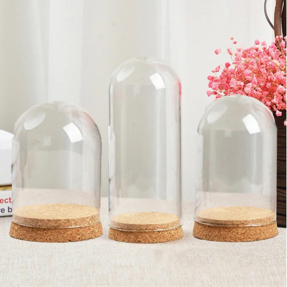 Clear Glass Hemisphere Cover Glass Dome Cover For Flower Succulent Plants Vase With Wood Cork Table Decor Dry Flower Decor
